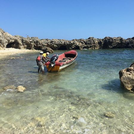 Forever Cottage Robins Bay المظهر الخارجي الصورة