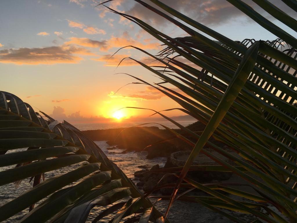 Forever Cottage Robins Bay المظهر الخارجي الصورة