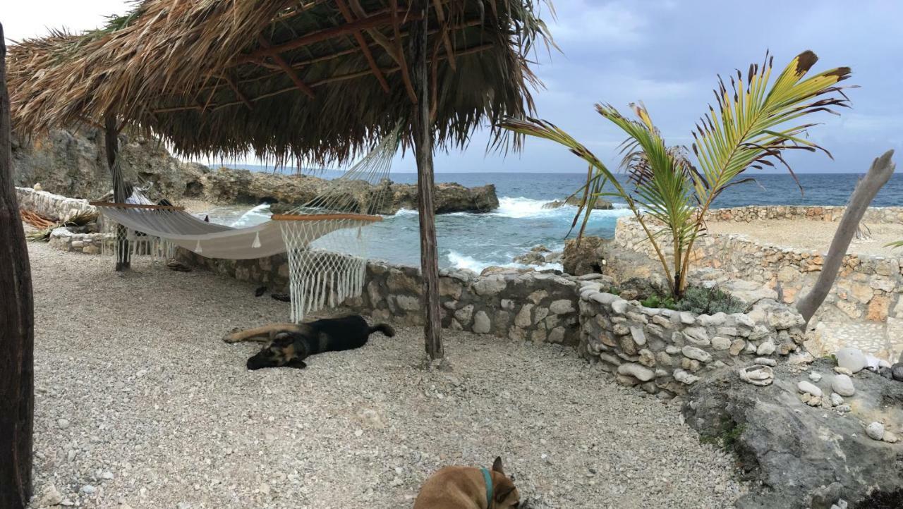 Forever Cottage Robins Bay المظهر الخارجي الصورة
